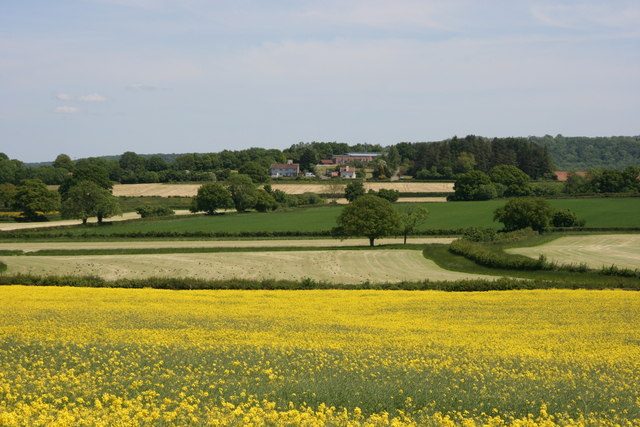 Fields and hedges looking east from the Angersleigh road